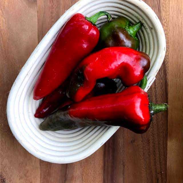 Greenhouse grown Peppers & Tomatoes